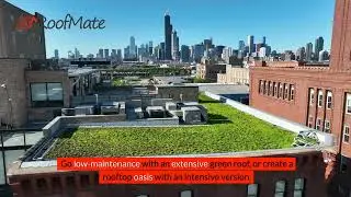 Green Roofing - What Are Eco-Friendly Roof Options for Your House?