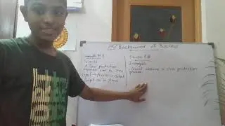 Grade 10 - Commerce (Bs. and Acc.)  - UNIT 01 - Background of business