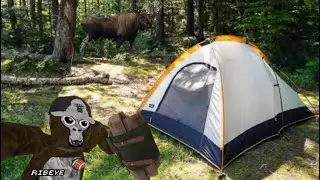Going camping in gorilla tag#peaceful#so many steps