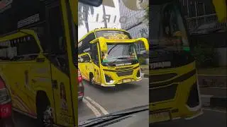 LITTLE DOCTOR AKAP Basuri #basuri #basuribussid #automobile #buspariwisata #telolet #busmania