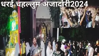 Dharai chahallum Azadari 2024.धरई चहल्लुम आजादारी2024.by Meraj Reaction Tech.