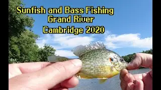 Fishing for Bass and Sunfish Cambridge Grand River
