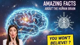 Incredible Brain Secrets You Never Knew 🤯🤔#Human Brain #BrainFacts#ScienceFacts#MindBlowing Facts
