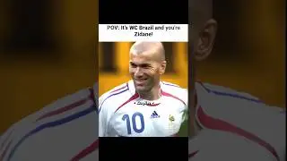 French Bald Man vs. Brazil in 2006 🗣️🔥☠️