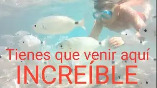 Lo MEJOR de CABO de GATA❤️🐟🐟🐟Mónsul Genoveses