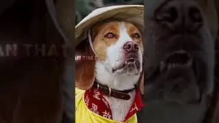 Underdog (2007) | From Lab Accident to Super Beagle! 🦸&zwj;♂️👜 Meet Shoeshine, an ordina
