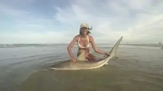 Girl Catches Shark off Beach!! SGSF