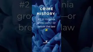 Crime History Week -  Strange Laws Part 1/3 ⚖️