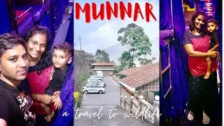 Munnar 2022 | Tea Estate ☕️ | Kerala Wildlife | Mountain View | Travel Vlog | Tamil Vlog🌱