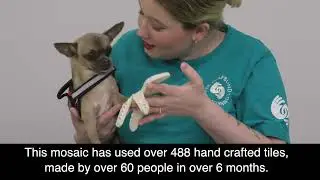 Deafblind Awareness Week Newcastle 2023
