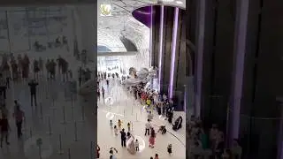 Amazing dubai museum of the future #dubaimuseumfuture #shorts #youtubeshorts #rahulshorts