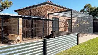 Unique Home Design: Brick House with GIANT Connected Aviary & Kennels | 3D Visualization
