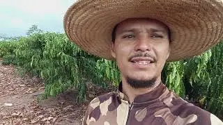 Muito trabalho;tive que arrumar minha irrigação! lavoura quase morreu!!