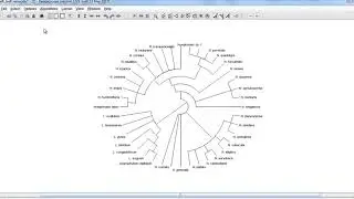 Final Year Projects on Data Mining | Final Year Thesis on Data Mining