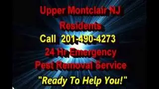24 Hr Emergency Pest Control Upper Montclair NJ Call (862) 701-2076