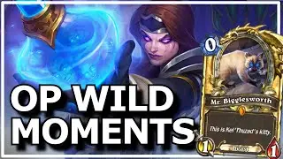Hearthstone - Best of OP Wild Moments
