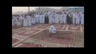 شيله / نارد حياض المنايا ماعلانه  - الاشراف