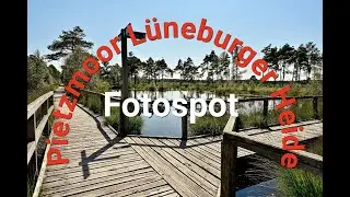 Fotospot Pietzmoor in der Lüneburger Heide