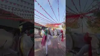 Vibes of mapro Strawberry Festival 2025