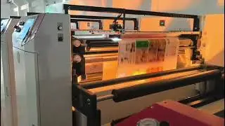 6 Color Narrow Web Servo Motor Petal Type Label Paper Roll Flexo Printing Machine