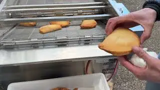Test Friggitrice a Nastro per Panzerotti | Frittura Perfetta nel Laboratorio Veneto Macchine
