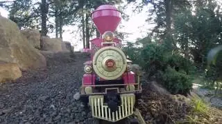 Pink Train Limited