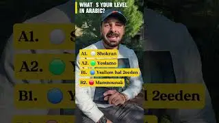 What's your level in Arabic? ⬇️⬇️⬇️ #learnlebanese #learnarabic #levant #levantinearabic #arabic
