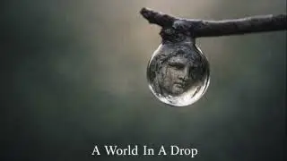A Course In Miracles - Lesson 13.