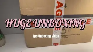 HUGE LPS Unboxing (&ldquo;NIB&rdquo; set)