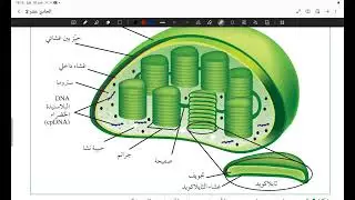 10 January 2026