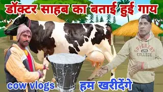 We will buy the cow suggested by the doctor for ourselves #GopiArchanavlogs #cowvlogs