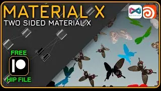 Houdini 20.5 - Tutorial | Two-Sided Material X