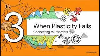 Brain Plasticity & Mental Health
