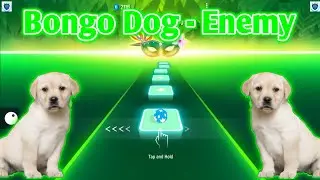 Cute Dog - Enemy Imagine Dragons (Bongo Dog) : Tiles Hop Widescreen