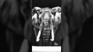 hyper realistic charcoal sketch🎨 of elephant🐘#art🎨#new#animal#viral#trending📈#yt#shorts#viyansart।।