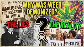 Reefer Madness to Mainstream - Why Was Cannabis Demonized