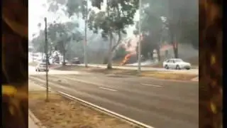 Youtube Australia Unites: Bushfire Appeal