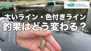 【ラインを検証！】太いライン・色付きラインは釣果に影響するのか？inキングフィッシャー