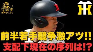 キャンプ前半から若手一軍枠争いが激アツ🔥‼️支配下争い現在の序列は⁉️　#阪神タイガース＃谷端 将伍＃阪神タイガースたしなむ#阪神　新外国人#デバニー＃井坪 陽生＃阪神　春季キャンプ＃嶋村 麟士朗