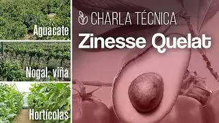 Charla Zinesse Quelat