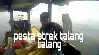 Pesta talang talang di karang nirwana laut jakarta