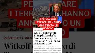 annientare tutto shorts