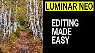 Luminar Neo. Editing made EASY