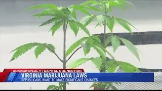 VA Republicans look to make significant changes to marijuana laws
