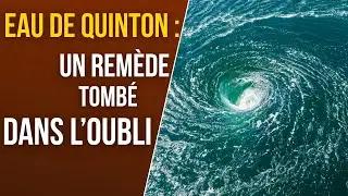 Eau de Quinton : bienfaits, usages et pr&eacute;cautions
