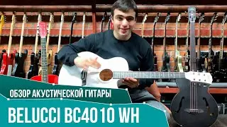 Обзор акустической гитары Belucci BC4010 WH | SKIFMUSIC.RU