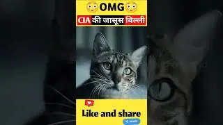 Operation Acoustic kitty by CIA | spy cat of CIA | cia weird experiments #spy #cat #story #shorts