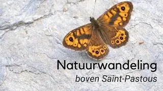 Natuurwandeling boven Saint-Pastous #1292