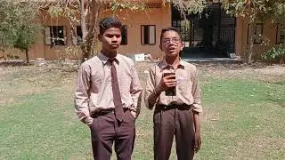 Biodiversity Project in Schools