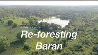 Restoring India&rsquo;s Ecosystem: #ReforestingBaran  | The Rocket Foundation